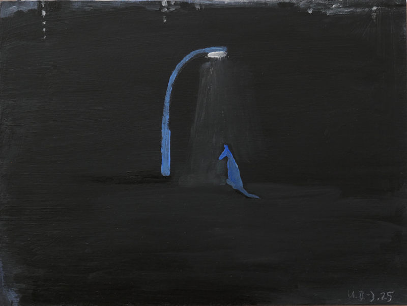 Ursula Bolck-Jopp: Tonight's the night (27)
